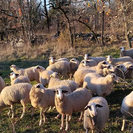 Casa de Férias Rural, Proche Des Sites Touristiques