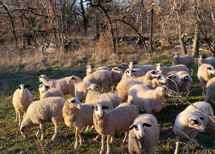 Nyaraló Rural, Proche Des Sites Touristiques